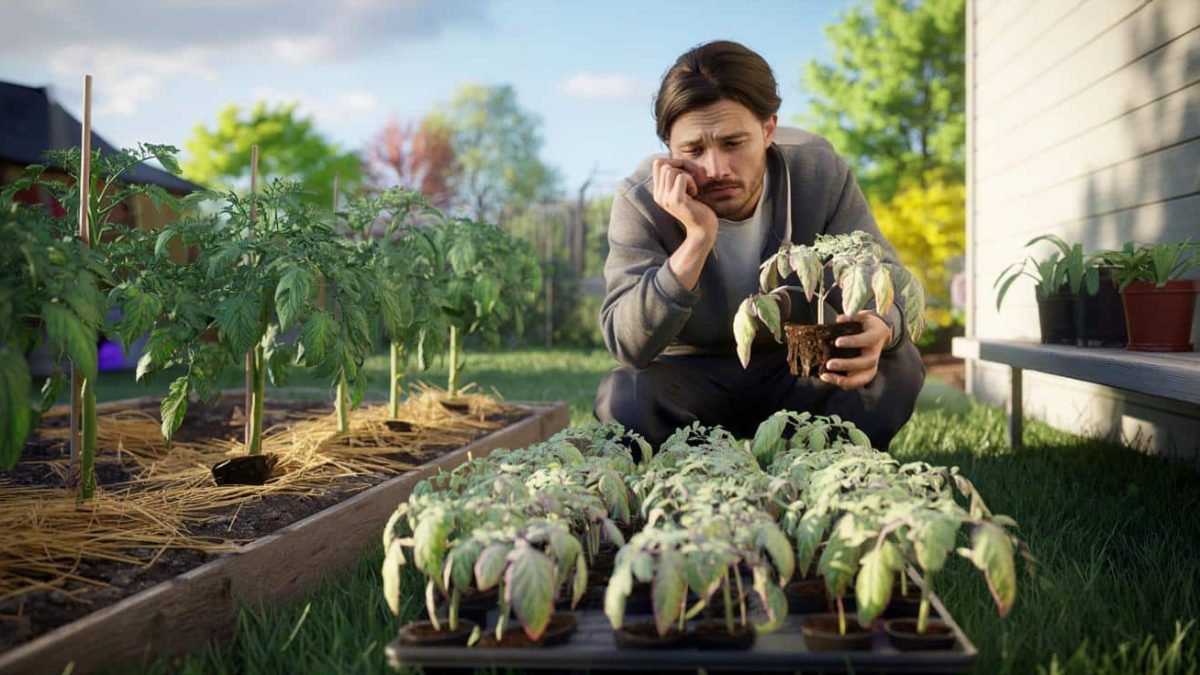 The Shocking Secret That’s Killing Your Tomato Crop (You’ll Never Believe It!)