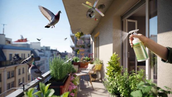 The Shocking Balcony Trick That’s Driving Pigeons Crazy (You Have to See It)