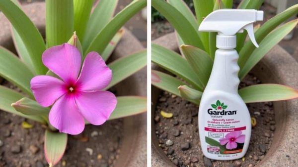 The Simple Trick That Saved My Dying Plants (And What I Was Doing Wrong)