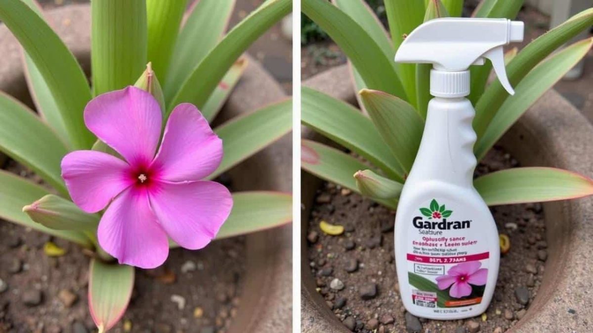 The Simple Trick That Saved My Dying Plants (And What I Was Doing Wrong)