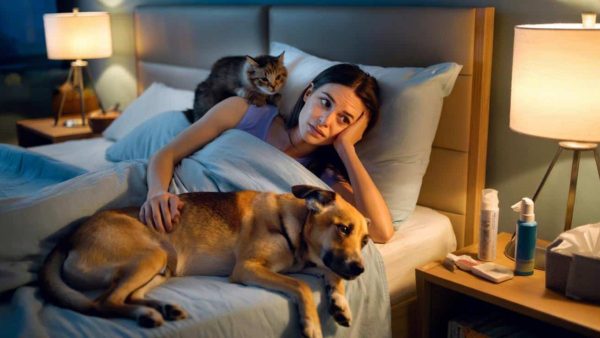 Sleeping With Pets Could Be Killing You: The Shocking Dangers Nobody Talks About