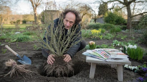 The Shocking Truth Monty Don Hid About When to Ditch Seeds for Shrubs This Spring