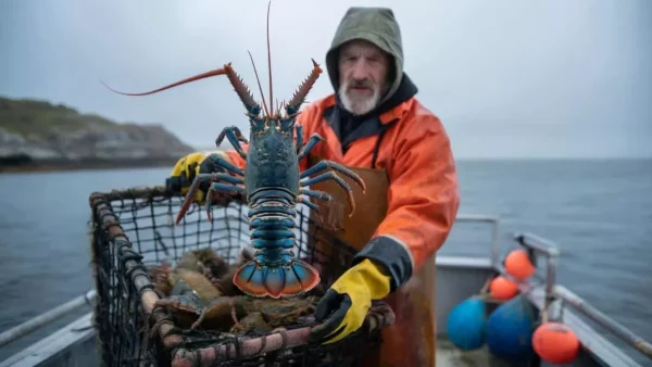 The Unbelievable Discovery That’s Leaving Fishermen Stunned Across the Globe