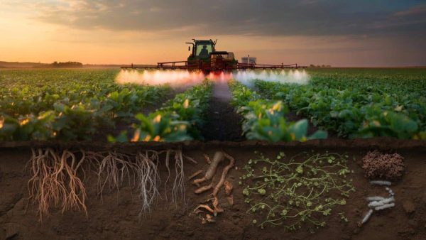 Shocking Secrets: How Pesticides Are Destroying the Hidden Lifeblood of Our Soil
