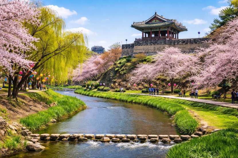 Unveil the Secret to Seamless Connectivity: Seoul’s Data-Free Zones Revolutionize Travel for Global Visitors