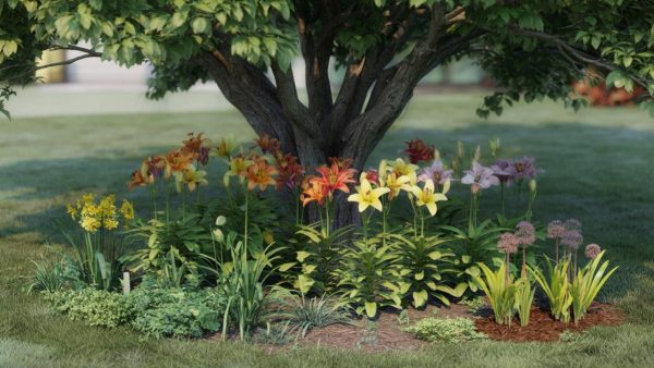 Shocking Truth: Why Planting Lilies Under Walnut Trees Could Be a Gardener’s Biggest Mistake