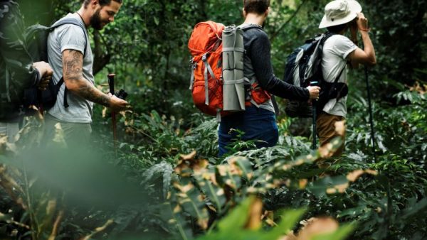 Shocking Secrets of Indonesia’s Wildlife Tourism Revolution: You Won’t Believe What They’re Doing!