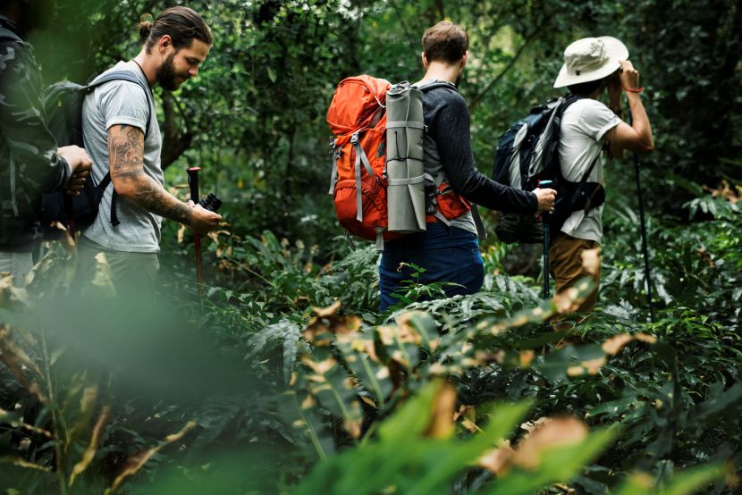 Shocking Secrets of Indonesia’s Wildlife Tourism Revolution: You Won’t Believe What They’re Doing!