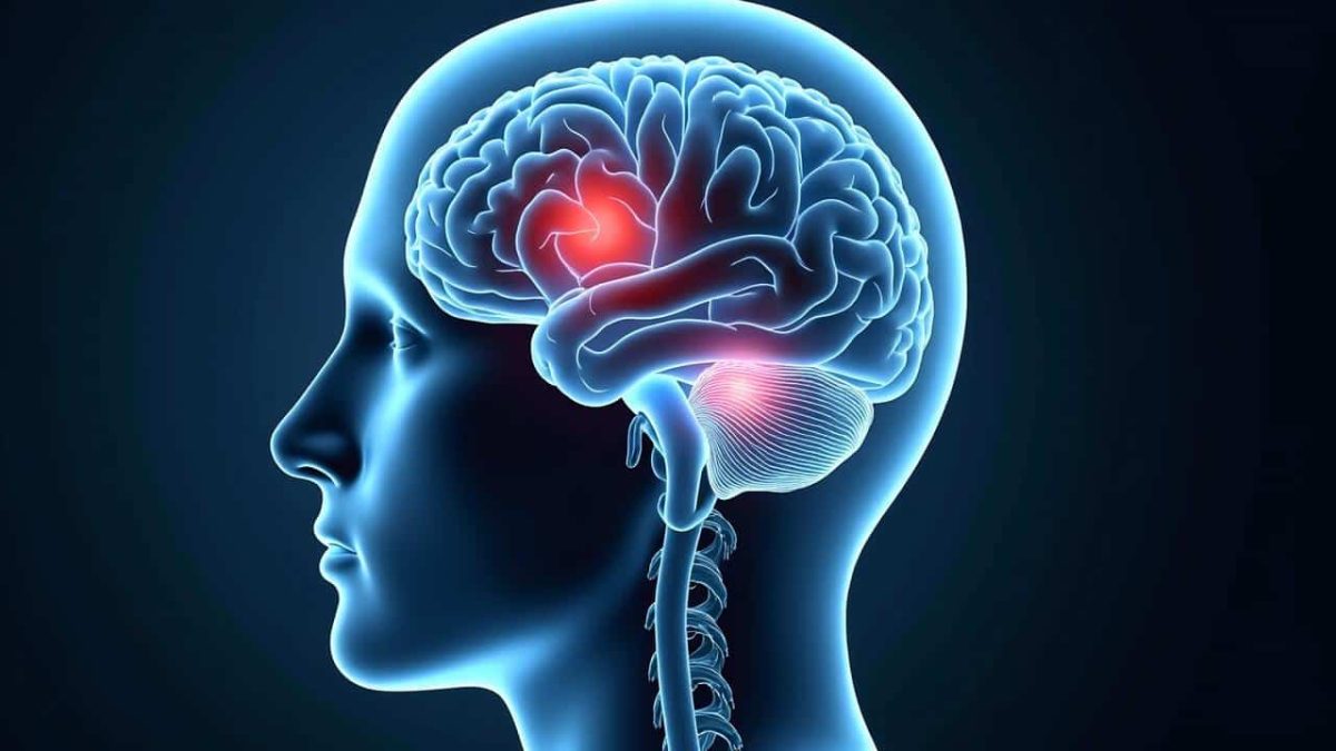 Discover the Shocking Truth: How Exercise Can Visibly Rejuvenate Your Aging Brain