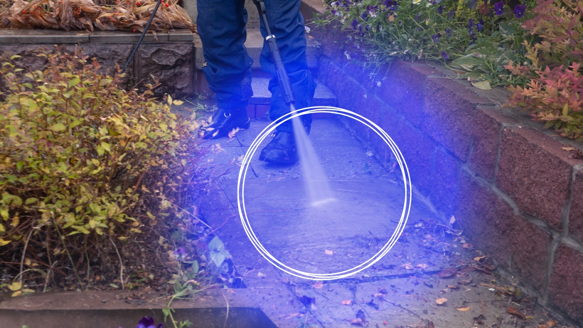 Unbelievable Baking Soda Hack Obliterates Moss and Weeds on Your Terrace This Winter!