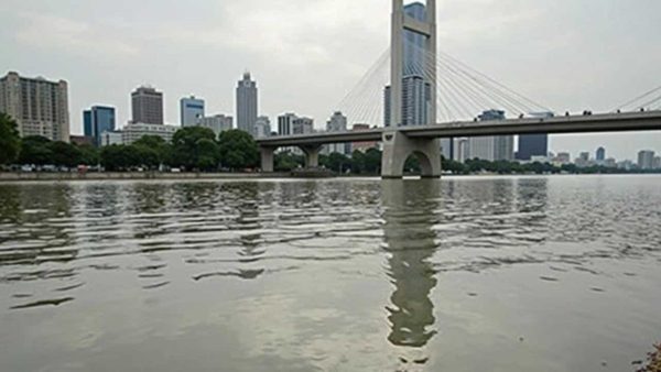 The Shocking Vanishing Act: Panama’s Deep Waters Defy Decades-Old Pattern